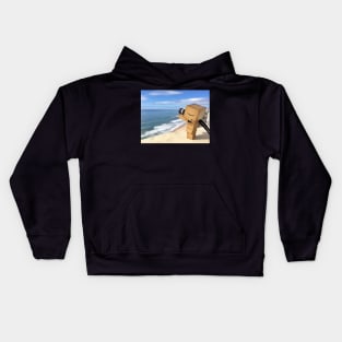 Danbo at the Beach Kids Hoodie